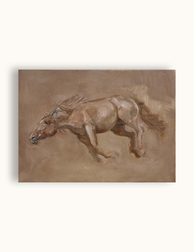 Caballo en movimiento