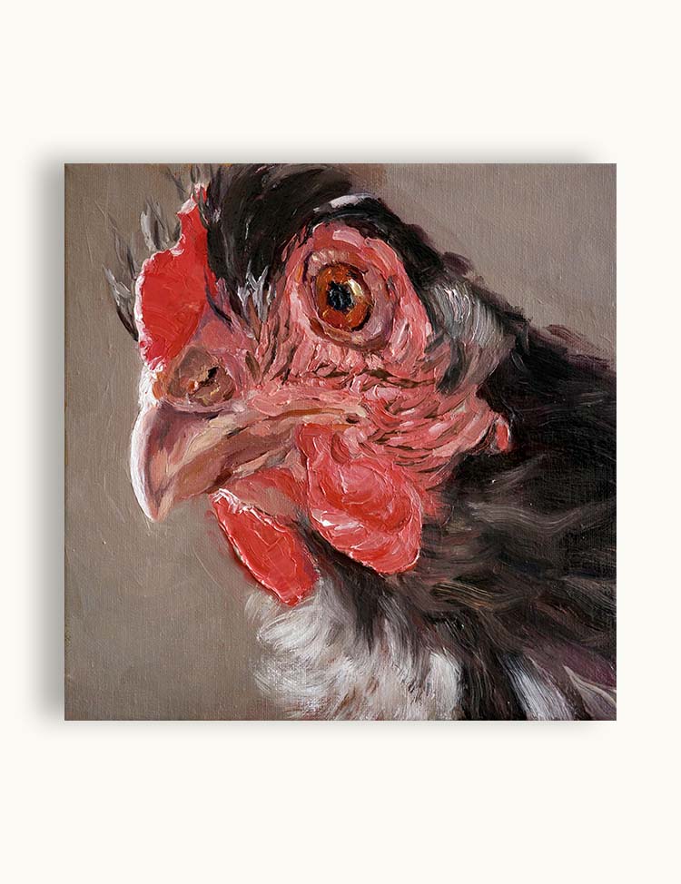 Gallina