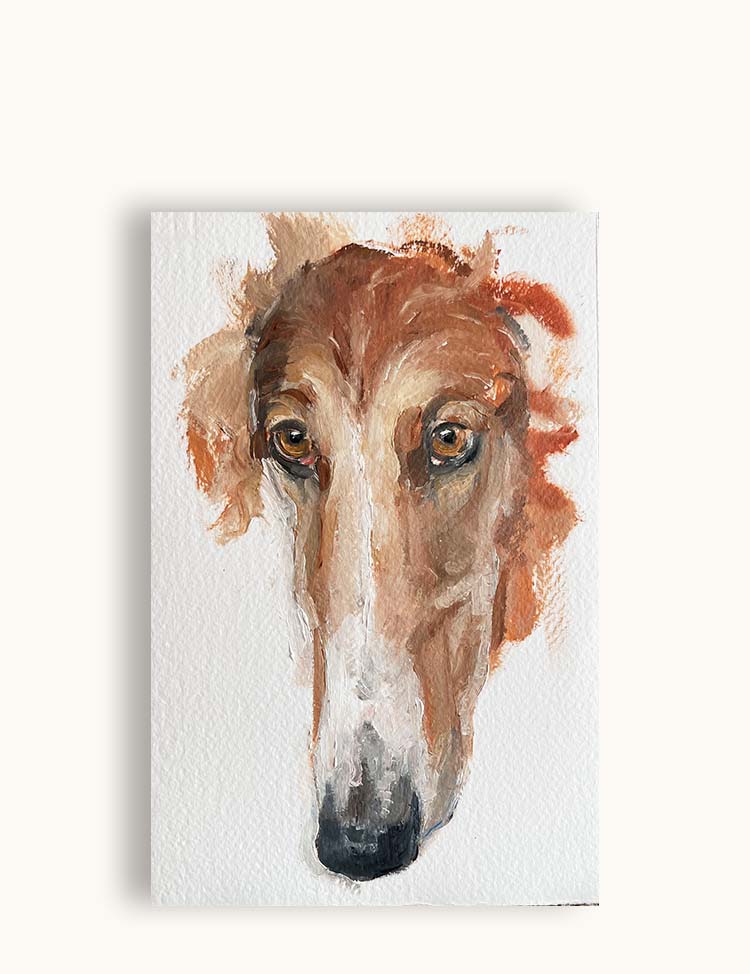 Borzoi