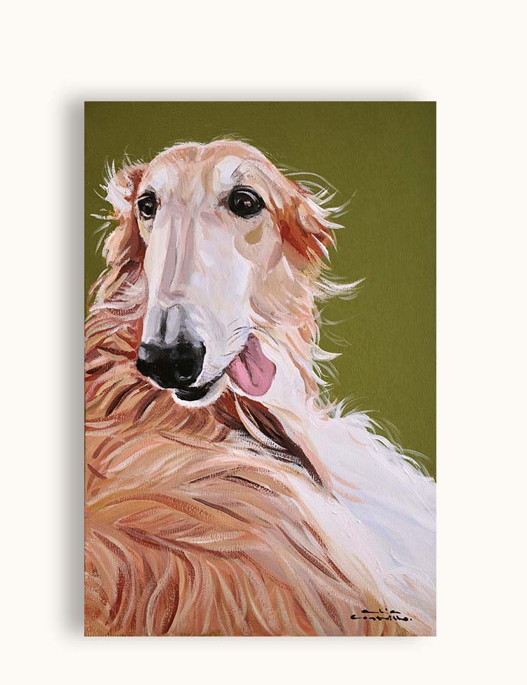 Borzoi II