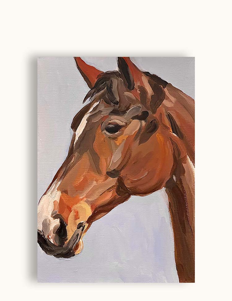 Horse's head (young)