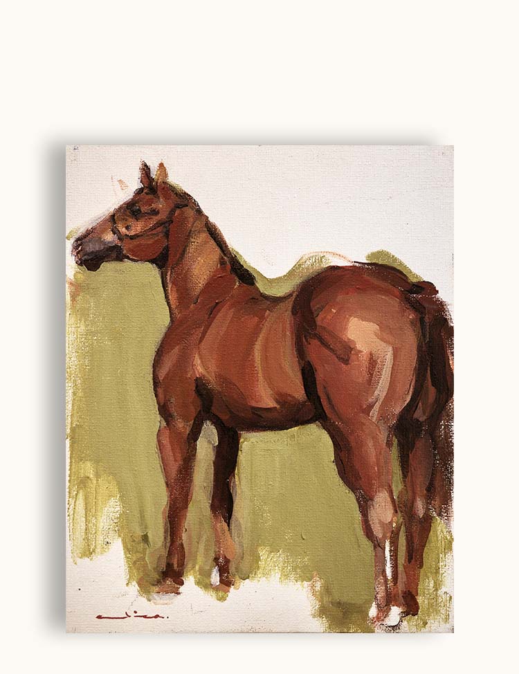 Study of a Horse III