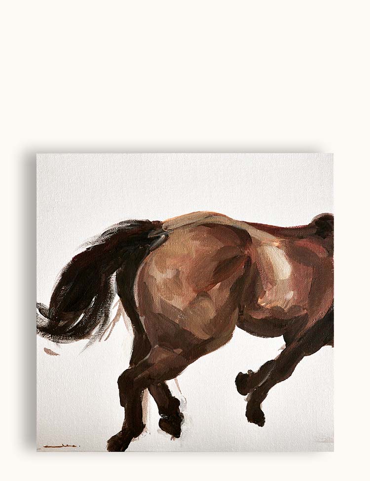 Study of a Horse V