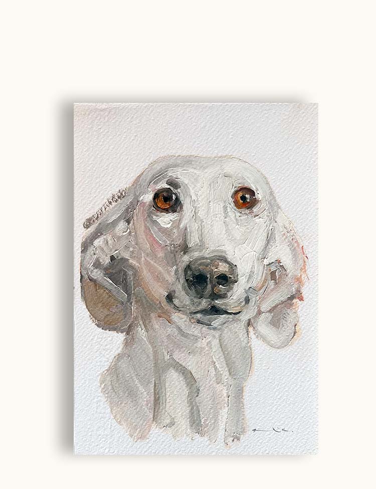 Whippet