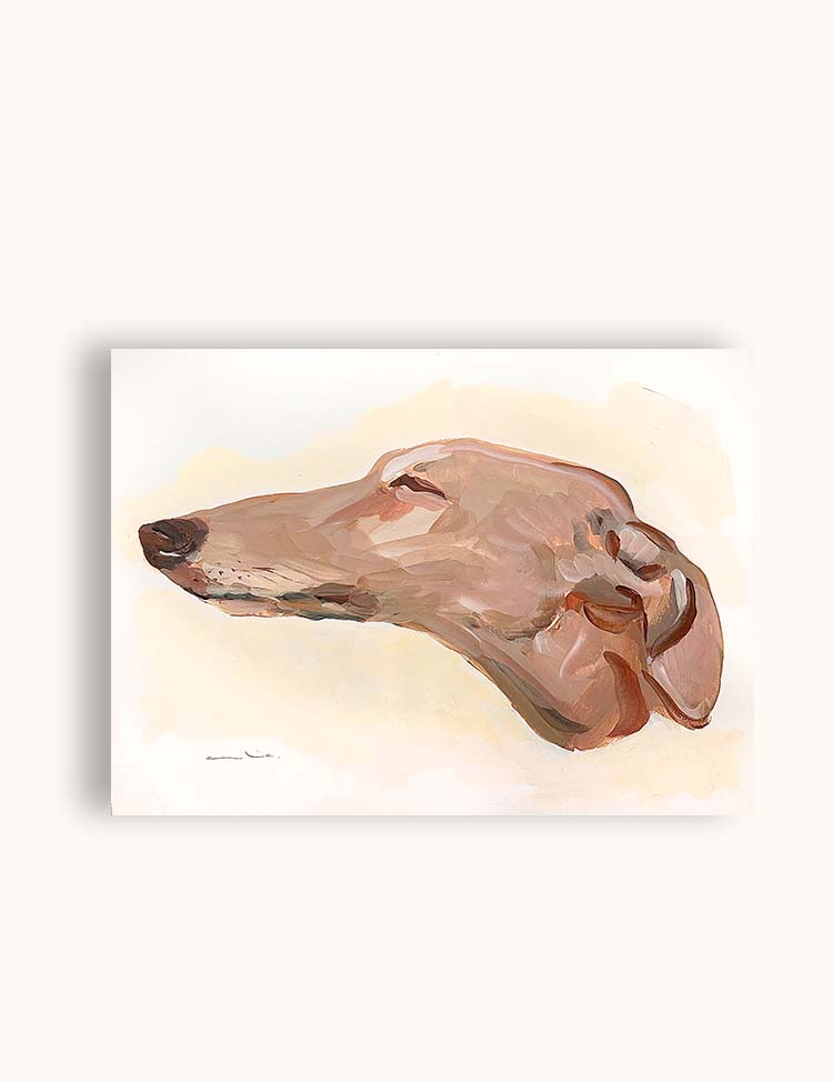 Galgo III