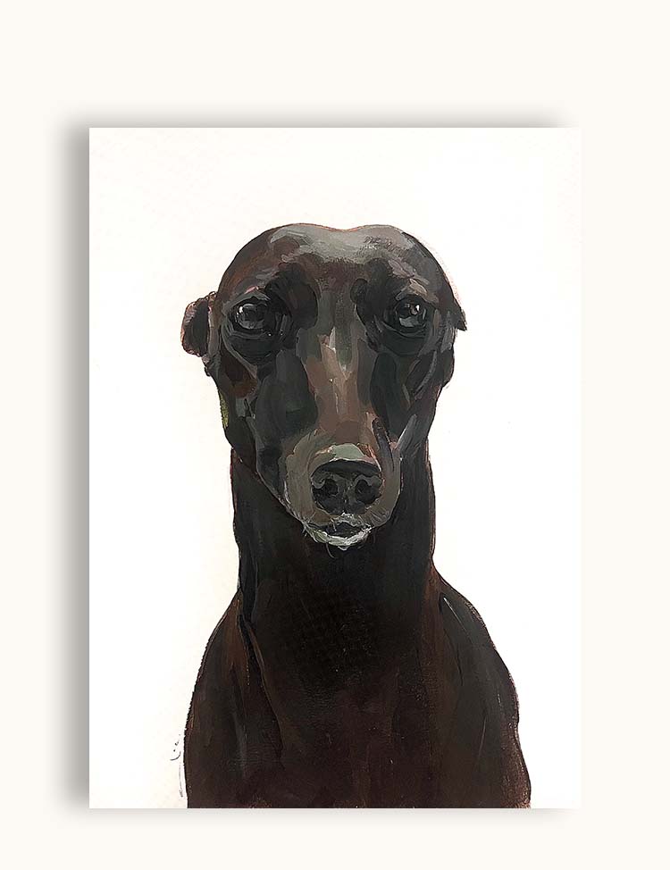 Galgo IV