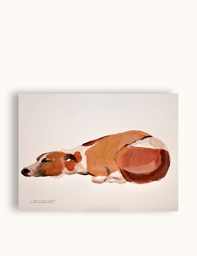 La Siesta III