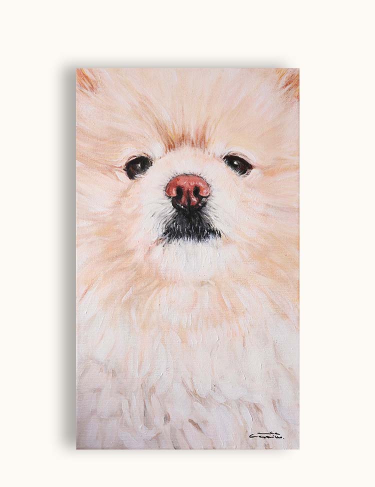 Portrait of a Pomeranian